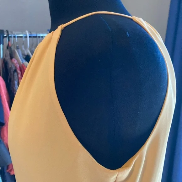 WHBM light yellow Sleeveless Dress, with gold details and tassel tie, size 4 - Picture 7 of 11